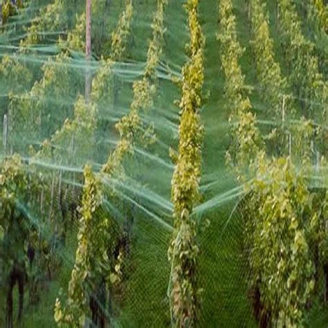 Agricultural Nets At Best Price In Hosur By Sumukha Farm Products Private Limited Id
