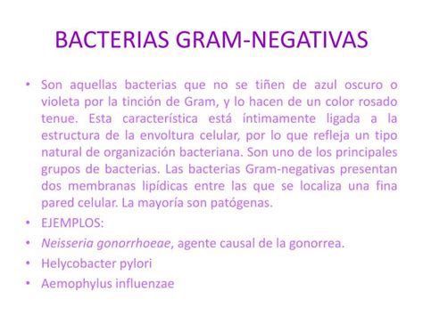 Ppt Bacterias Powerpoint Presentation Id