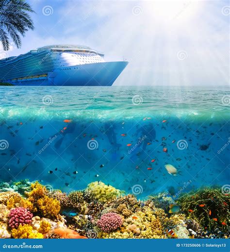 Collage Of Underwater Coral Reef At Sea Cruise Ship And Palm Tree