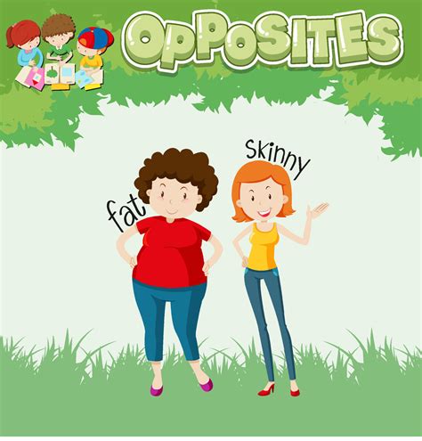 opposite words for fat and skinny 6891542 vector art at vecteezy