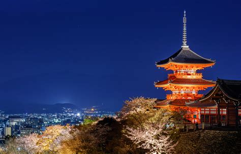 Kyoto Evening Cherry Blossom Itinerary Inside Kyoto