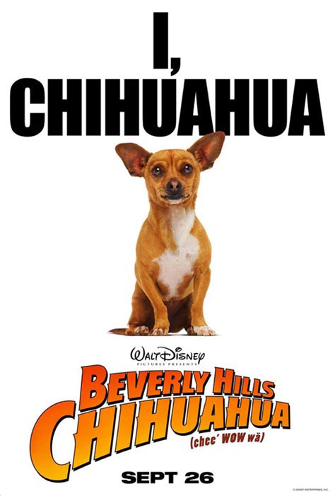 Beverly Hills Chihuahua 2008 Poster 1 Trailer Addict