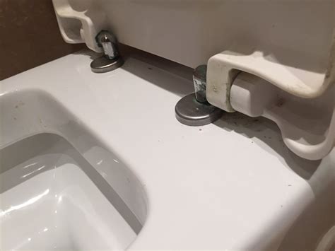 Solved How Do I Remove Toilet Seatappears To Be 2 Bolts Fixya