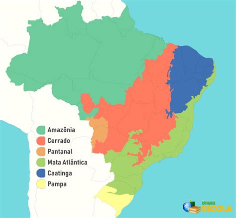 Biomas Brasileiros Quais S O Caracter Sticas Brasil Escola