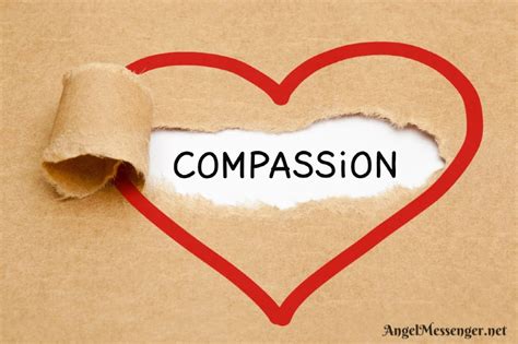 Compassion In Action Giveaway Angel Messenger