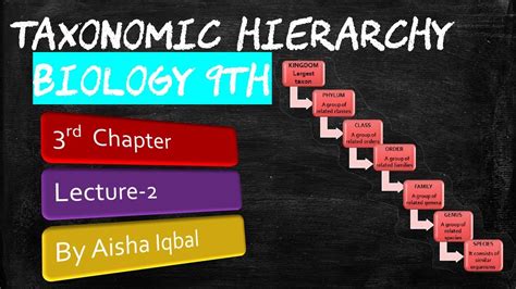 Taxonomic Hierarchy 9th Class Biology Youtube