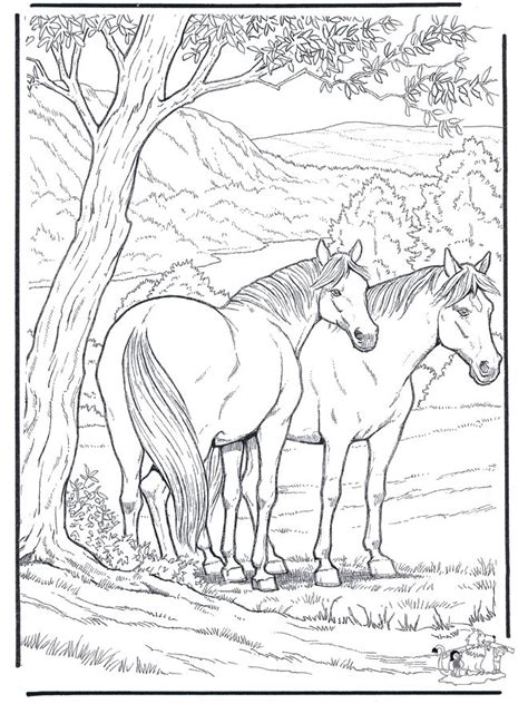 Hard Coloring Pages Of Horses At Free Printable