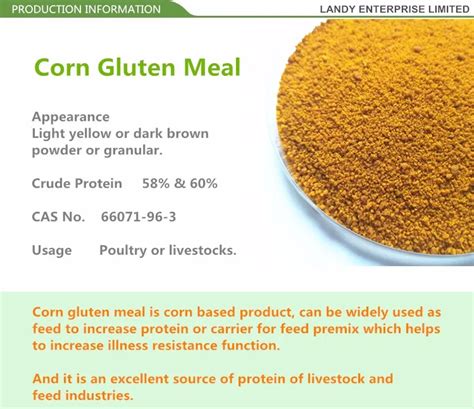 Feeding Value And Identification Of Corn Gluten Meal Choline Chloride