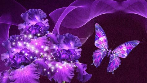 Midnight Purple Butterfly Wallpapers Top Free Midnight Purple