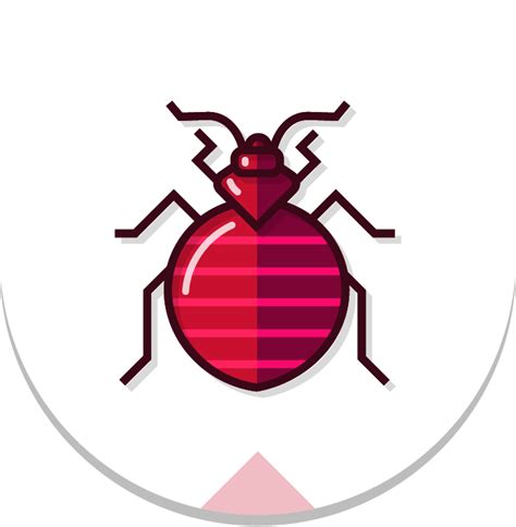 Bed Bugs Png Image Png Mart