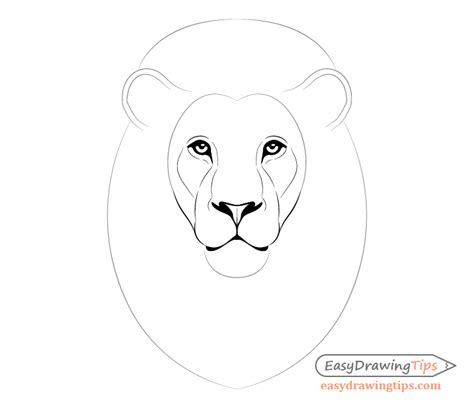How To Draw Lion Face And Head Step By Step Easydrawingtips