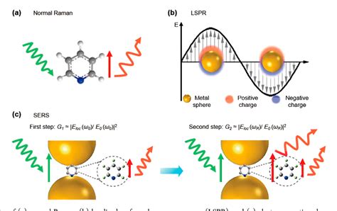 In brief, raman spectroscopy is a spectroscopic technique that measures the light matter interactions (scattering of photons due to bond vibrations in a molecule). Figure 1 from Surface-Enhanced Raman Spectroscopy for ...