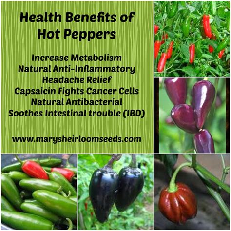 Marys Kitchen Health Benefits Of Hot Peppers With Recipes