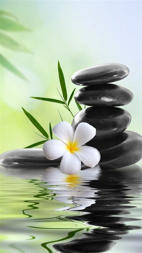 Tap And Get The Free App Nature Spa Stones Flowers Relax Water Green