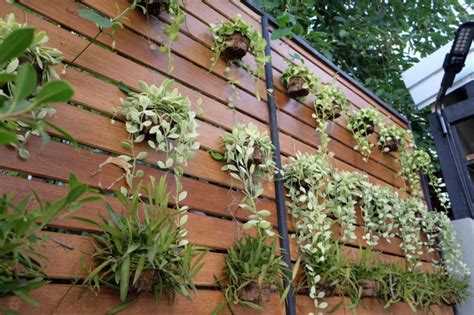 50 Best Vertical Garden Pictures To Inspire You Lush Living Walls