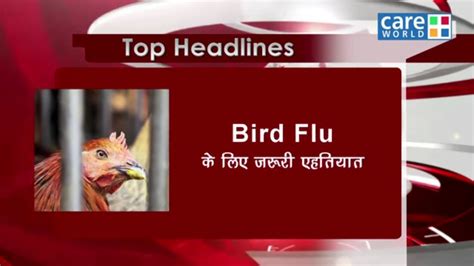 Symptoms And Treatment Of Bird Flu Health Update Youtube