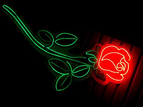 Neon Rose Flickr Photo Sharing