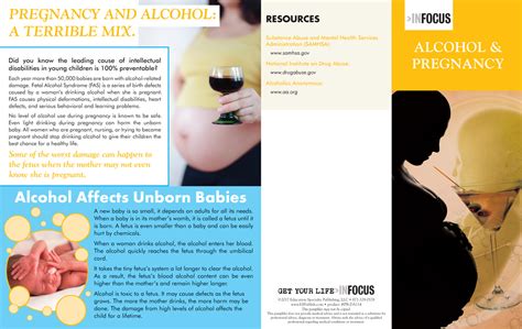 Alcohol And Pregnancy Pamphlet Fasd Prevention Resources