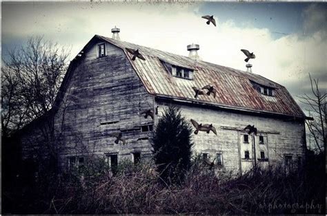 Amy and ty spend the night in the haunted hanley barn, trying to get to the bottom of a mystery. FAMILY FARM, a vintage weathered barn - 4x6 print | Family ...