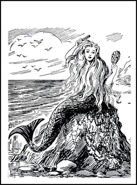 Vintage Mermaid Mermaid Art Mermaid Illustration