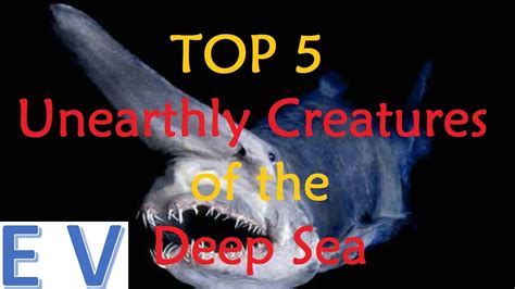 Top 5 Unearthly Creatures Of The Deep Sea Entertaining Videos Youtube