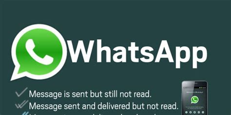 Understanding The Whatsapp Check Marks Monitor