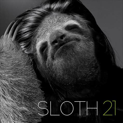 11 Iconic Album Covers Improved With Sloths