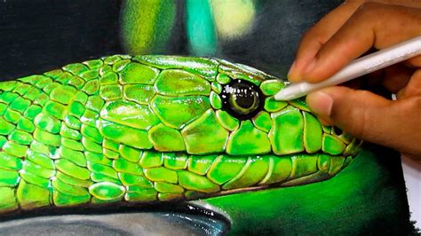 How To Draw A Realistic Snake Time Lapse Youtube