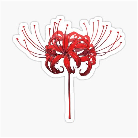 Beautiful Red Spider Lily Sticker For Sale By Rubydian Redbubble