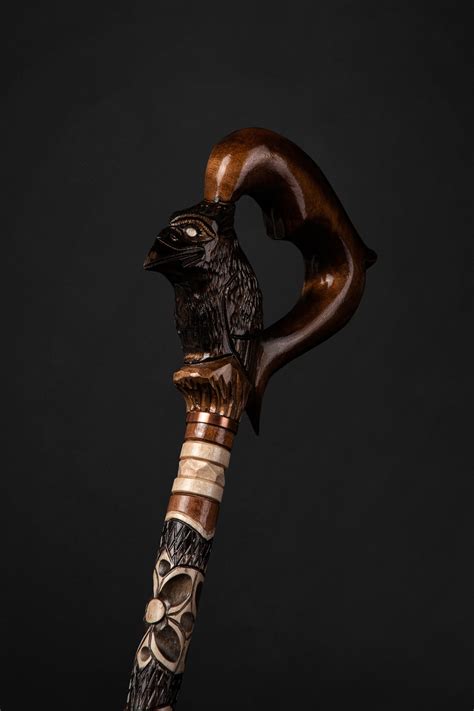 Raven Designer Walking Canes Unusual Walking Cane Custom Art Walking Sticks