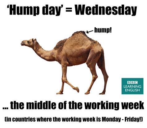 Bbc Learning English On Twitter Happy Hump Day In Countries Where