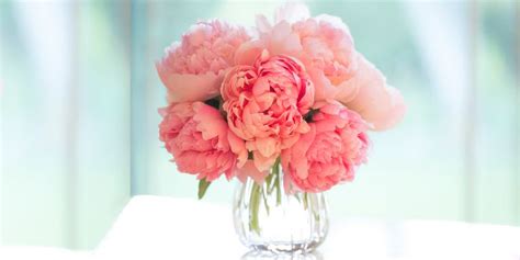 Check spelling or type a new query. 11 Best Flowers for Valentine's Day - Popular Roses ...