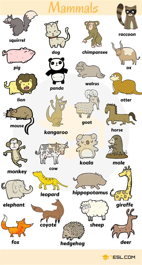 Animal Names Types Of Animals List Of Animals Animal Pictures 7esl