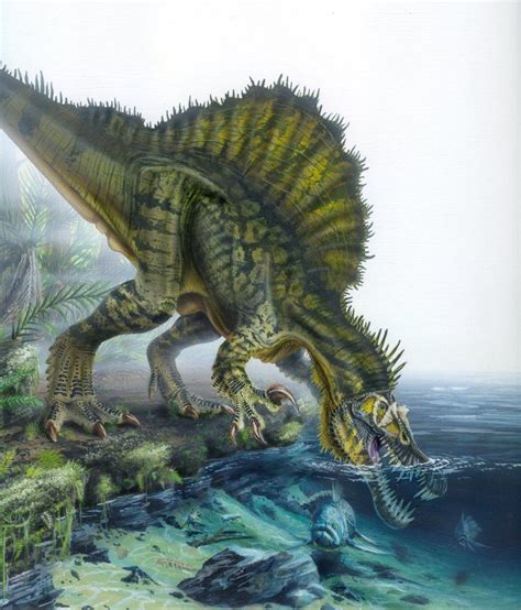 One Could Ask Why The Spinosaurus Isnt As Popular As The T Rex And