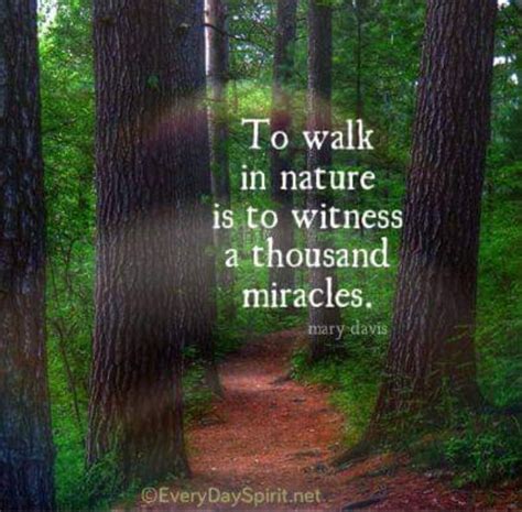 Pin By Susan Oconner On Words Nature Quotes Walking In Nature