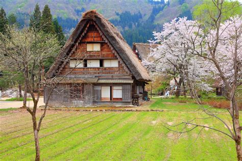 akiya bank revitalizing japan s empty houses