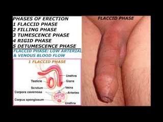 Education Penis Massage BIQLE Видео
