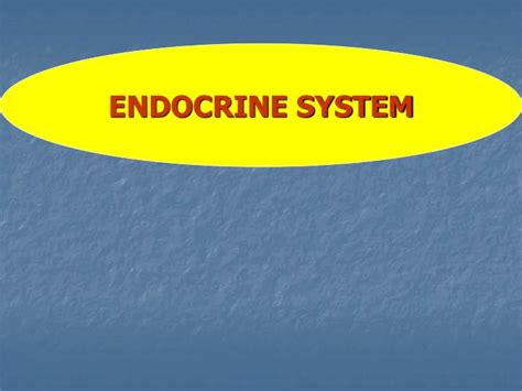 Ppt Endocrine System Powerpoint Presentation Free Download Id4496729