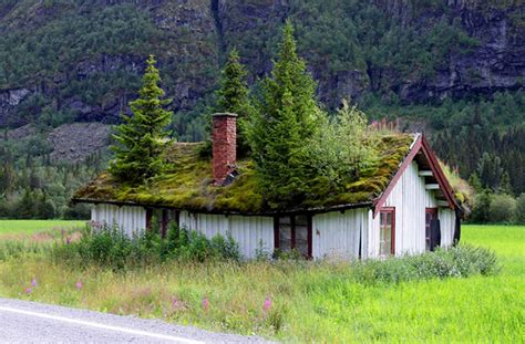Norwegian Grass Roof Homes Inhabitat Green Design Innovation
