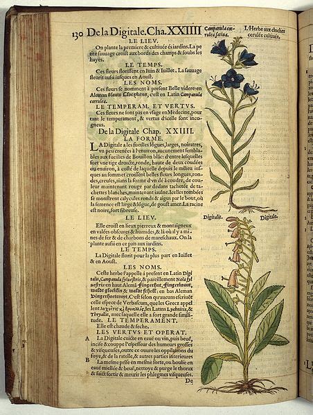 Carolus Clusius Historia De Las Plantas Principia