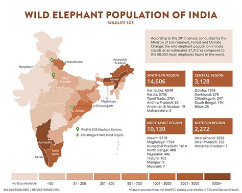 Elephants - Wildlife SOS