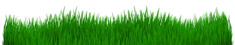 Clipart grass fodder, Clipart grass fodder Transparent FREE for ...