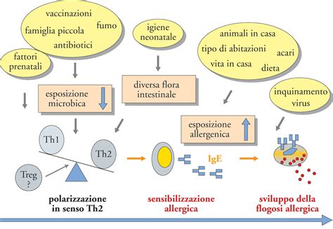 Alimenti (come uova, arachidi, pesce, latte vaccino, soia, noci, crostacei) farmaci (che possono scatenare reazioni allergiche). Introduzione alle Intolleranze Alimentari - Studio Medico ...