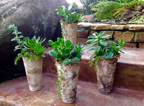 6 of 14 vintage coffee urn planter. Succulent Container Gardens ‹ Garden Treasures by Lisa