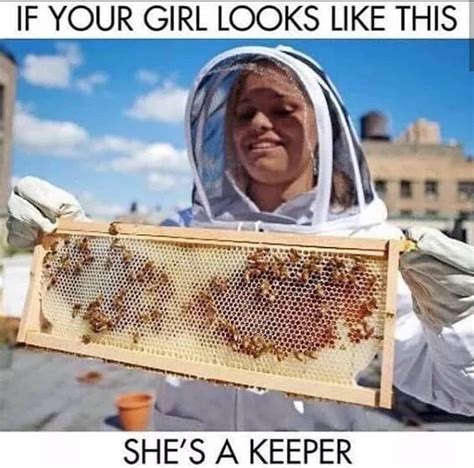 Funny Honey Bee Memes Frank And Zoey