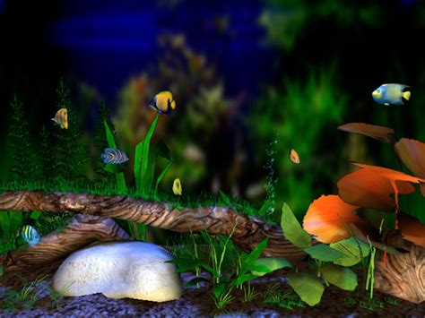 49 Animated Aquarium Desktop Wallpaper On Wallpapersafari