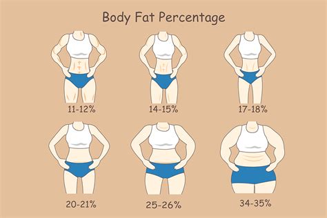 Gallery Of Body Fat Percentage Chart By Age Female Bedowntowndaytona Teena Daftsex Hd