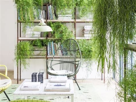 The 10 Best Indoor Hanging Plants That Thrive In Apartments