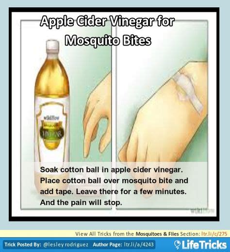 Mosquitoes And Flies Apple Cider Vinegar For Mosquito Bites With