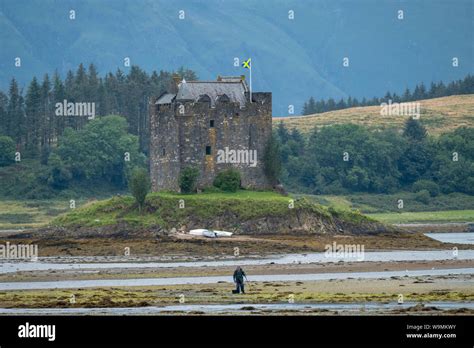 Castle Stalker Pictured At Low Tide The Medieval Tower House Is Built